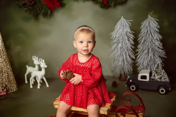 Vintage Backdrop Christmas Garland Pinecones Vintage Photo Backdrop MRR9-33