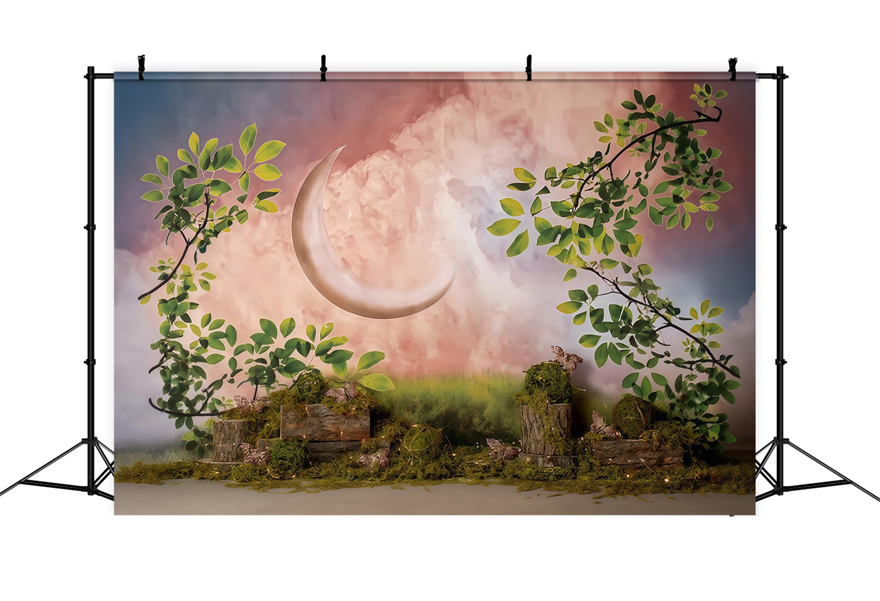 Kids Photo Backdrop Enchanted Crescent Moon Garden Newborn Backdrop MRR9-39