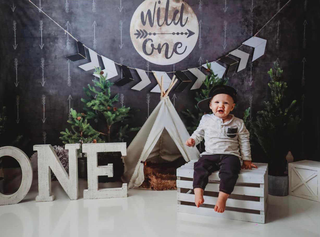 1st Birthday Backdrop Wild One Teepee Adventure Setup Cake Smash Backdrop MRR9-5