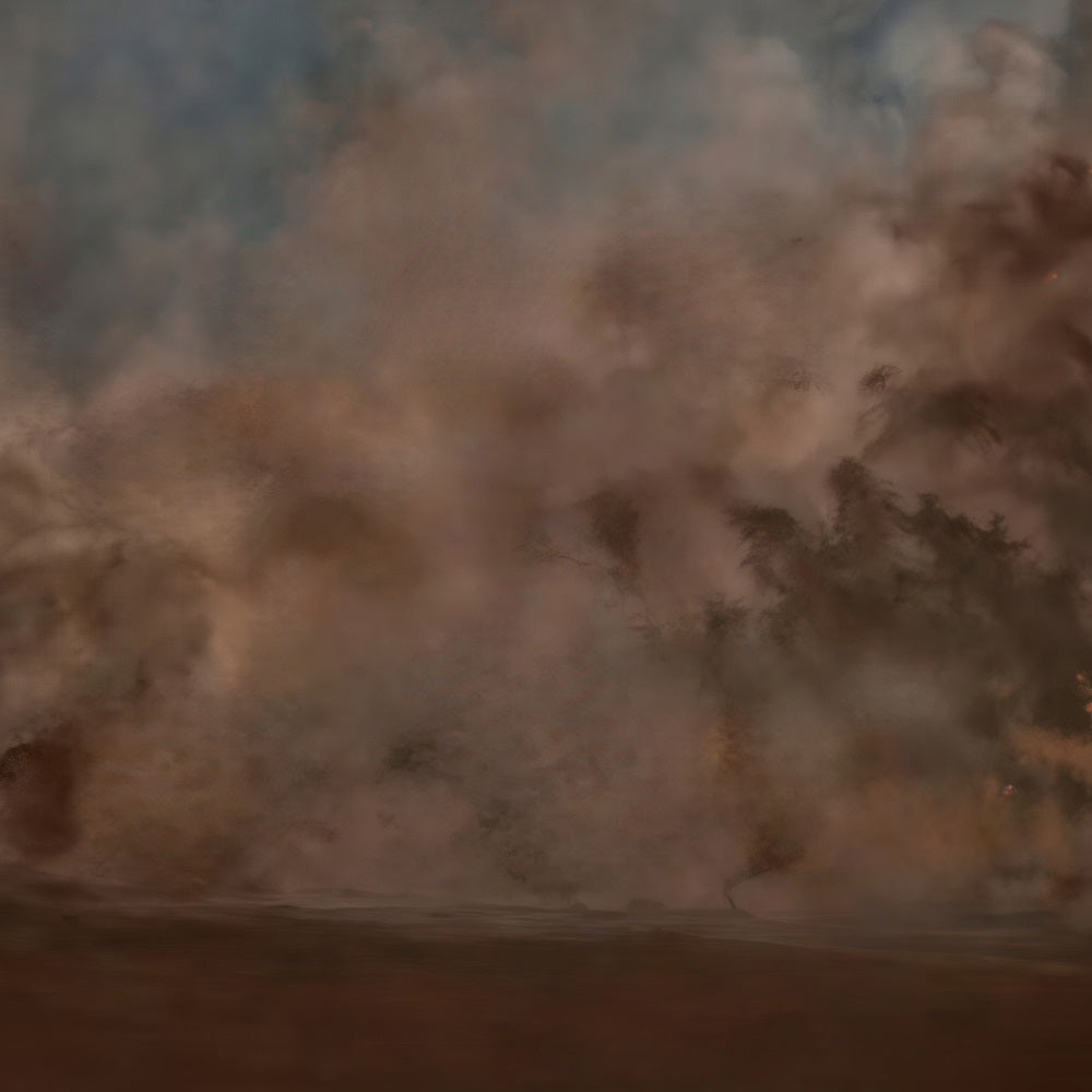 Painting Backdrop Moody Brown Mist Abstract Haze Fine Art Backdrop MRR9-65