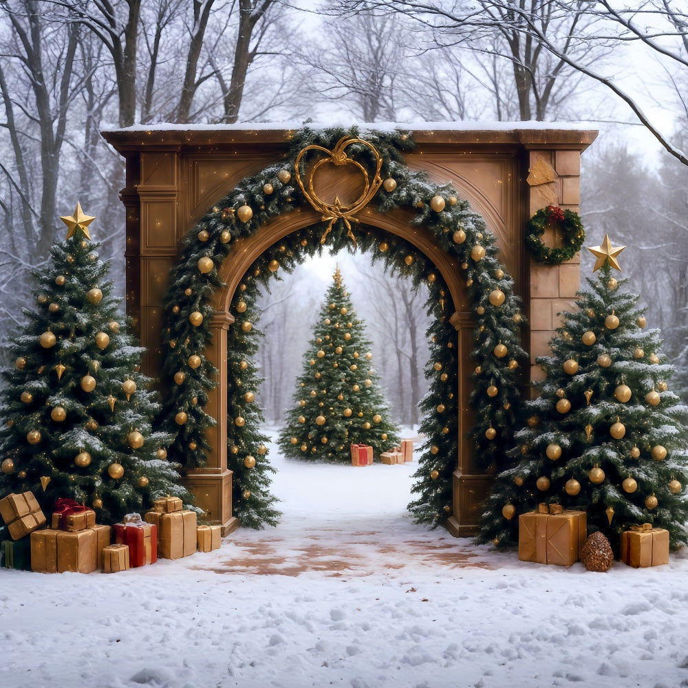 Christmas Tree Backdrop Snowy Forest Arch Door Christmas Photo Backdrop MRR9-77