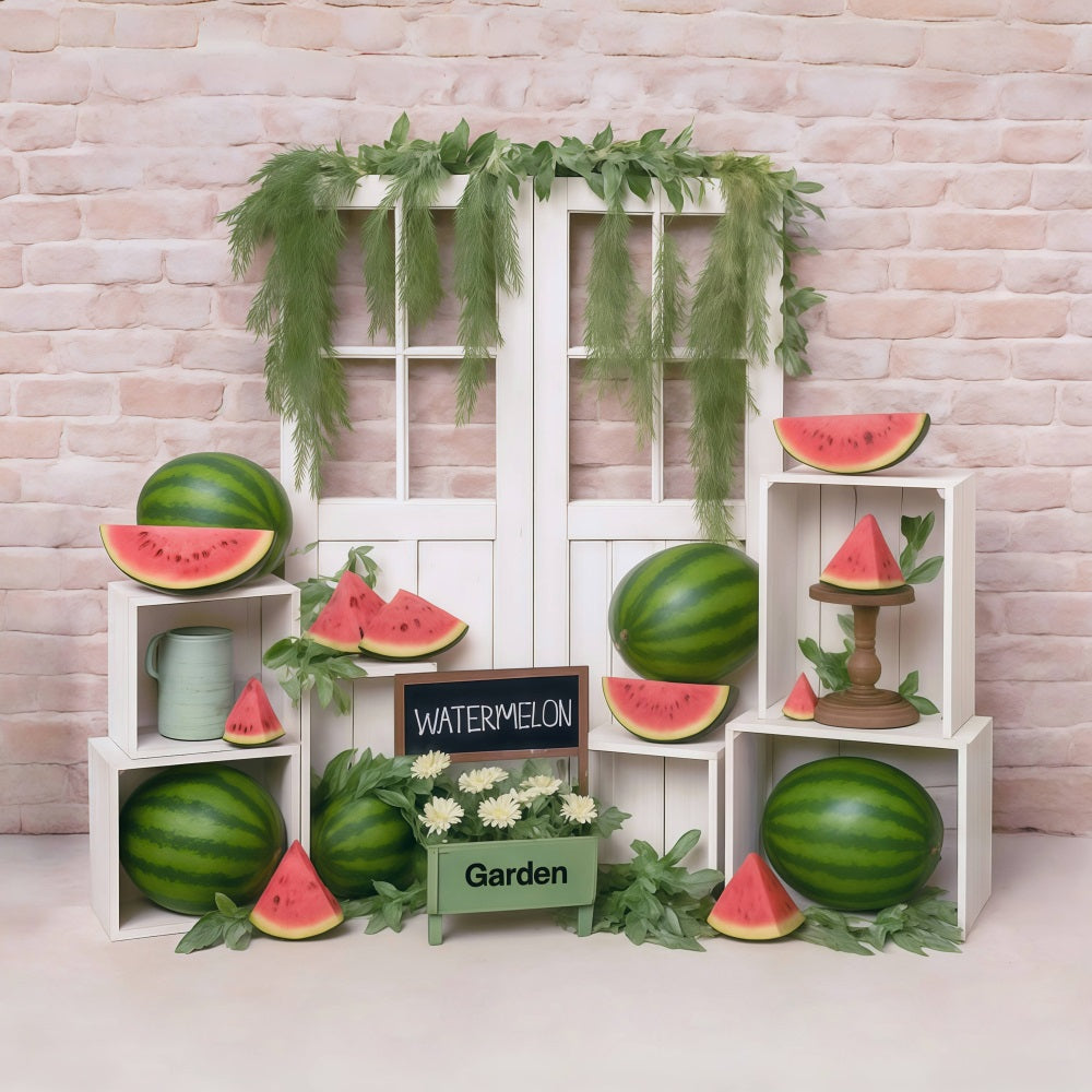Watermelon Backdrop Brick Wall Wood Door Display Summer Backdrop MRR9-80