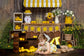 Summer Board Lemon Sale Booth Theme Backdrop RR3-24