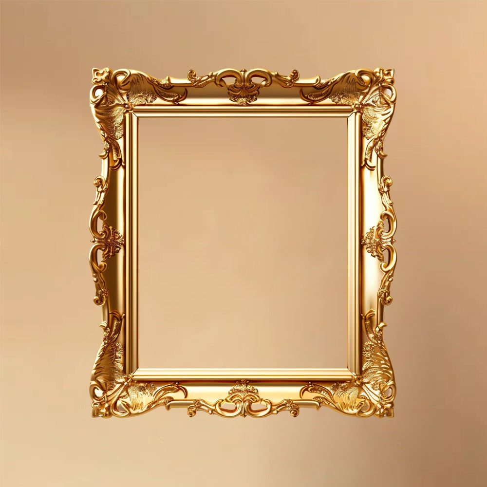 DBackdrop Artistic Metallic Color Photo Frame Backdrop RR4-21 – Dbackdrop