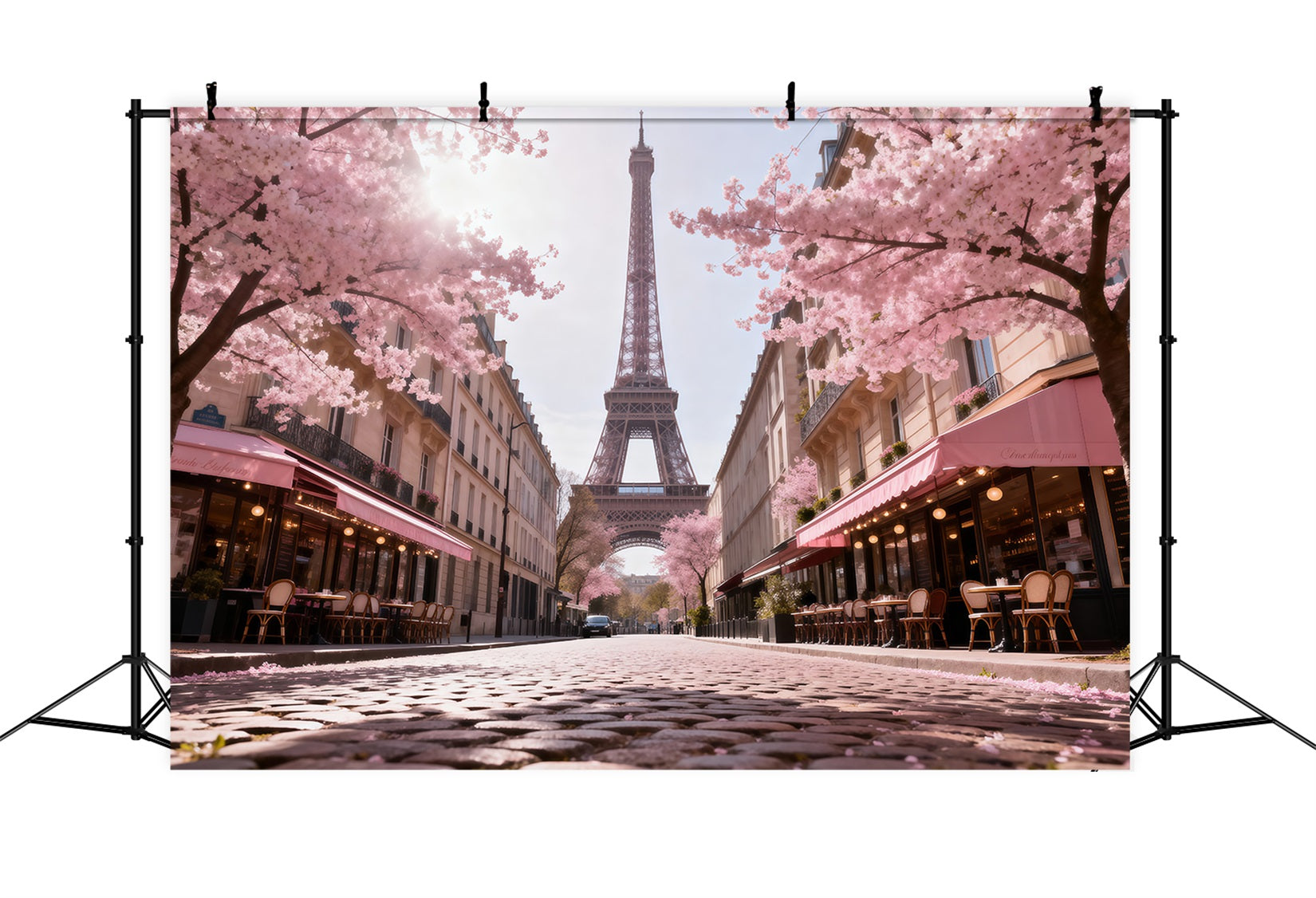 Paris Backdrop For Pictures Blossom Cafe Street Morning Eiffel Tower Paris Backdrop RR61-61