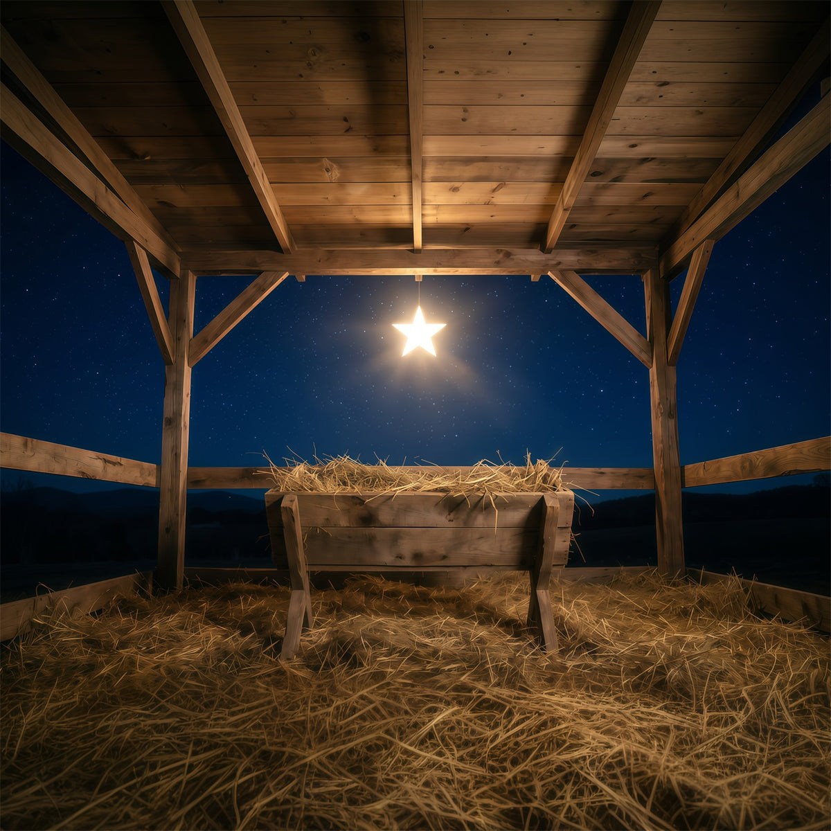 Nativity Scene Backdrop Starry Night Manger Stable Manger Scene Backdrop RR610-111