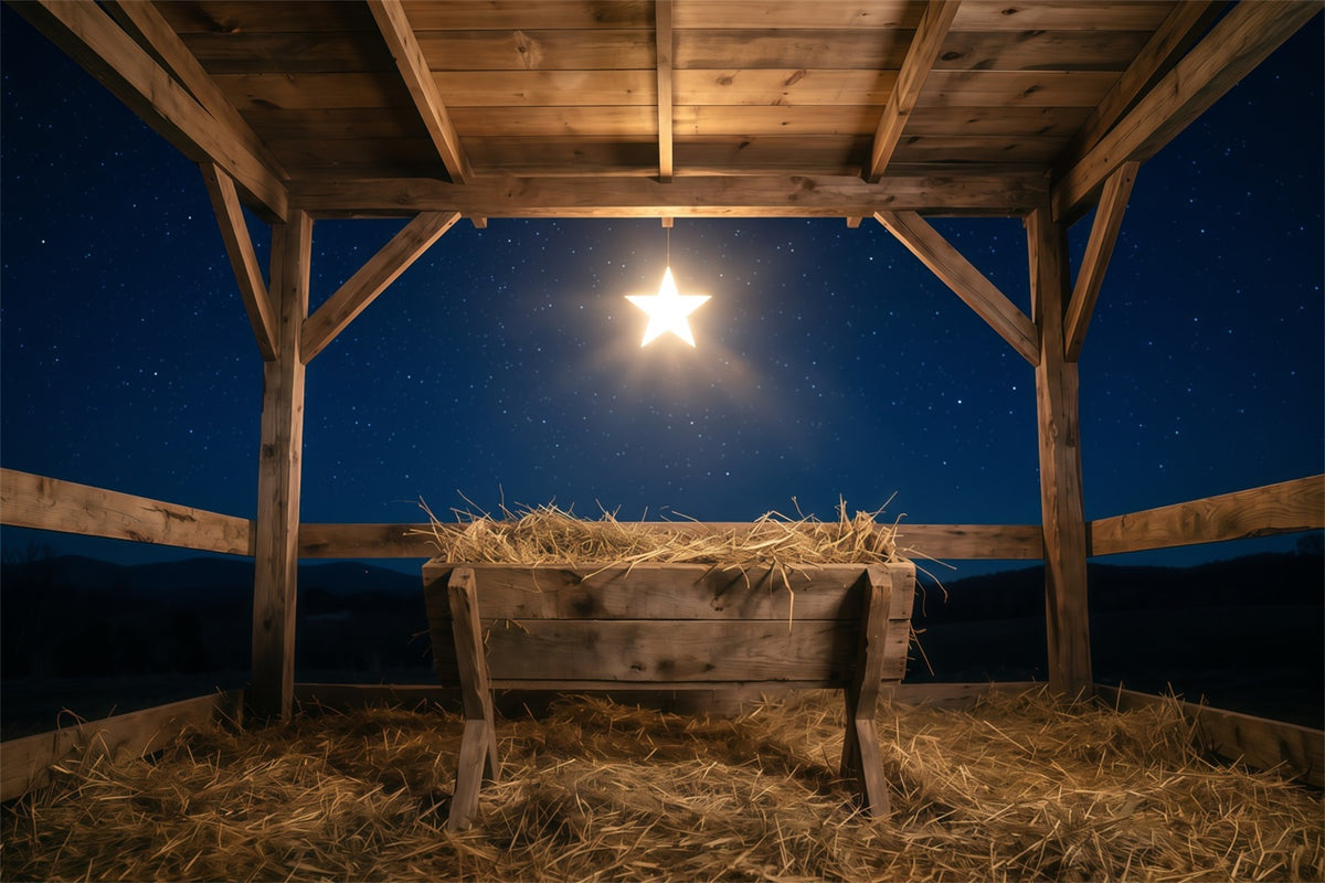 Nativity Scene Backdrop Starry Night Manger Stable Manger Scene Backdrop RR610-111