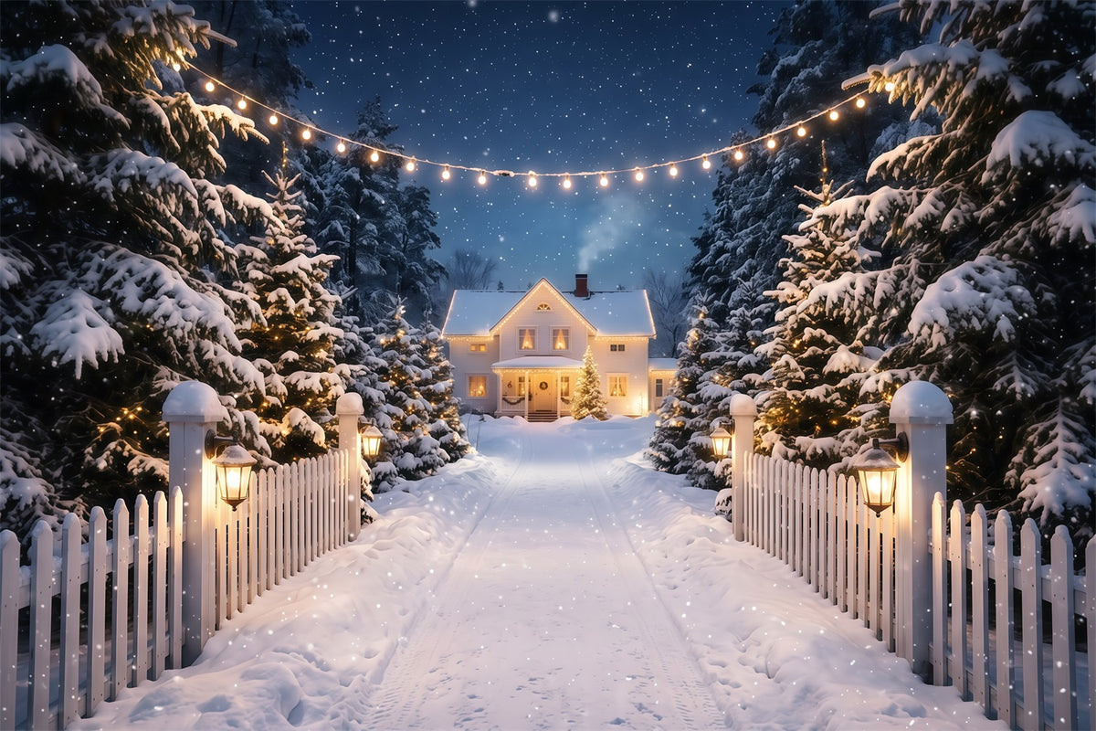 Christmas Lights Photo Backdrop Snowy White House Driveway Christmas Photobooth Backdrop RR610-122