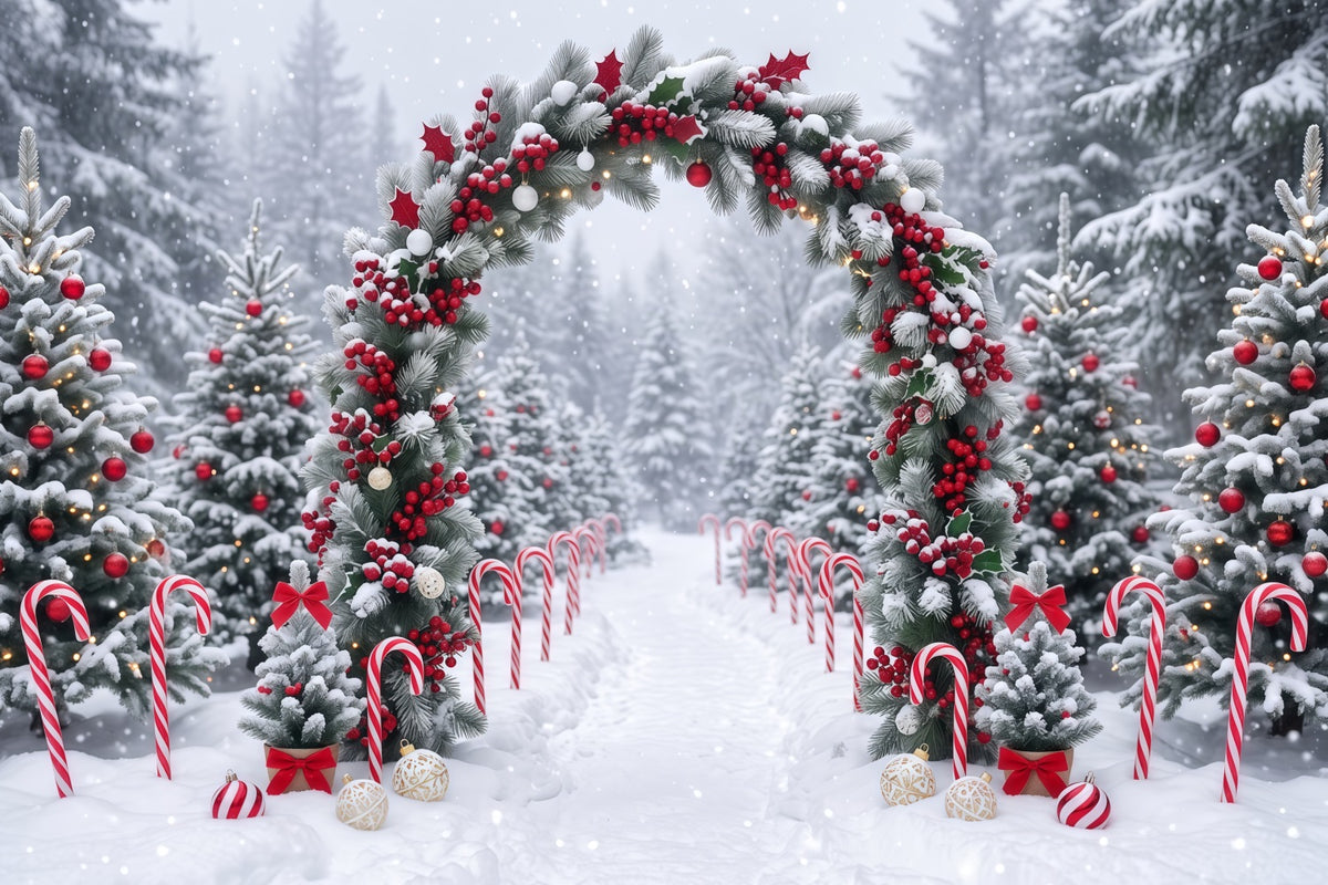 Christmas Backdrop for Photos Snowy Berry Garland Arch Christmas Backdrop for Wall RR610-125