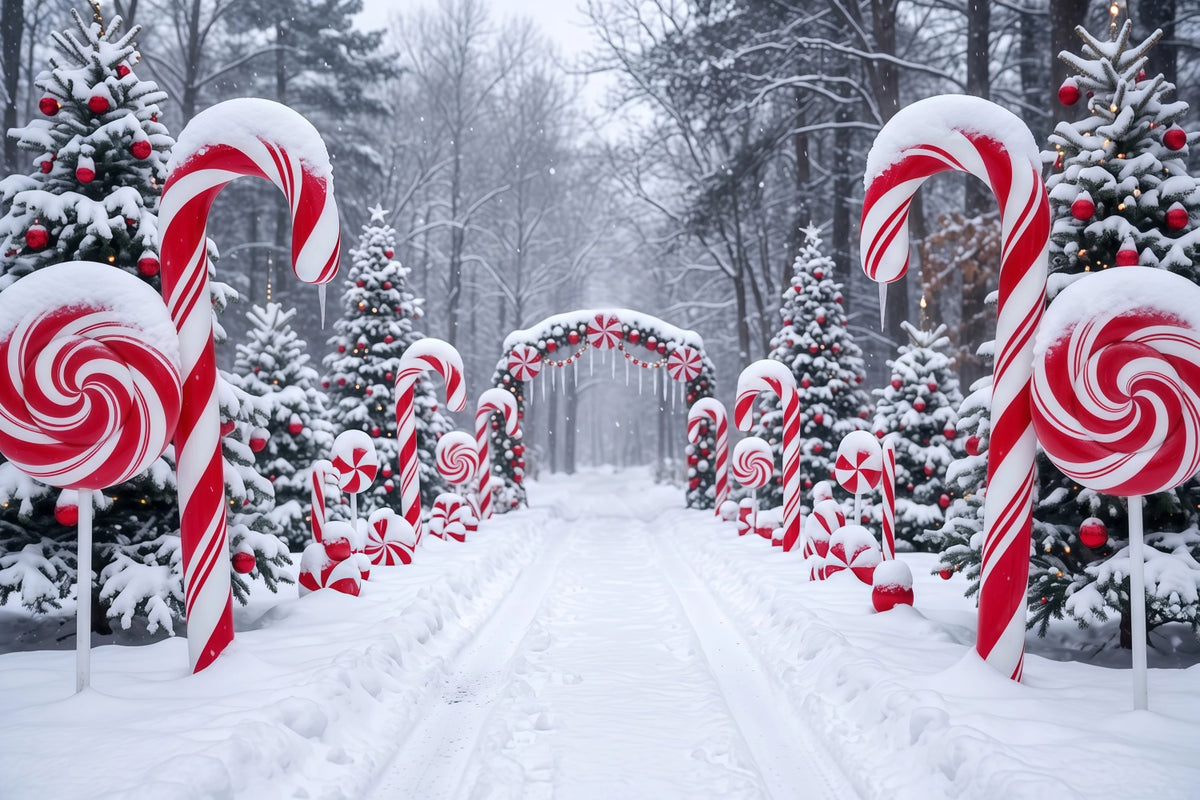 Christmas Candy Cane Backdrop Snowy Forest Pathway Christmas Backdrops for Stage RR610-126