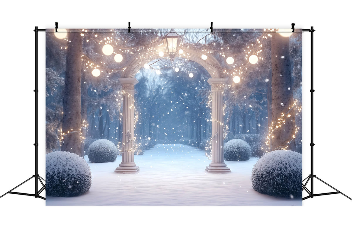 Christmas Forest Backdrop Snowy Illuminated Garden Arch Christmas Portrait Backdrop RR610-127