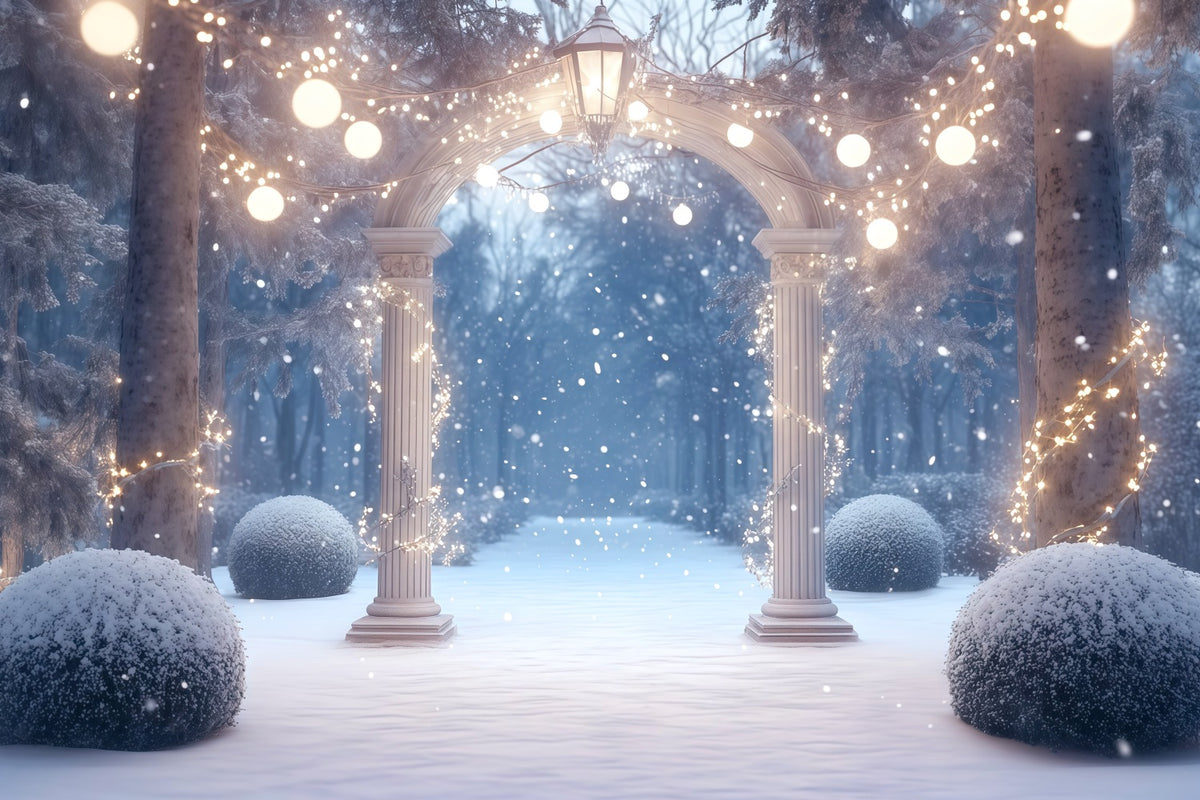 Christmas Forest Backdrop Snowy Illuminated Garden Arch Christmas Portrait Backdrop RR610-127