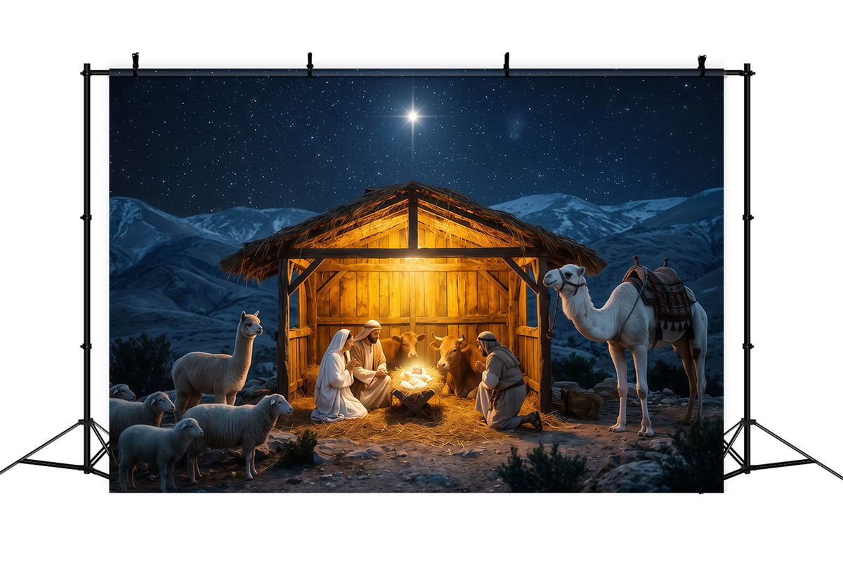 Nativity Scene Backdrop Starry Night Manger Stable Christmas Manger Backdrop RR610-132