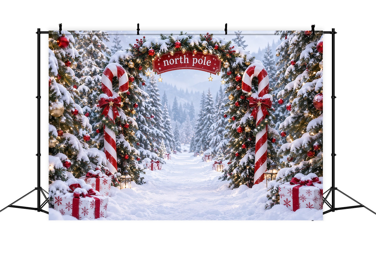 North Pole Photo Backdrop Candy Cane North Pole Christmas Winter Backdrop RR610-173