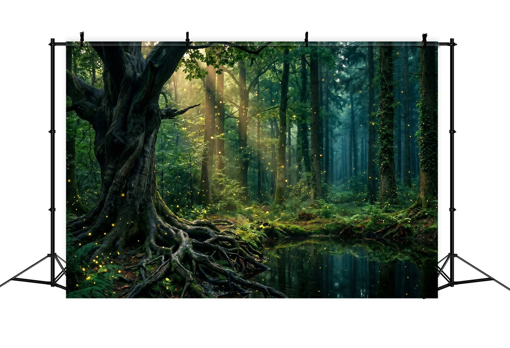 Rainforest Backdrops Sunlit Trees Pond Firefly Glow Roots Photo Backdrop Forest RR63-151