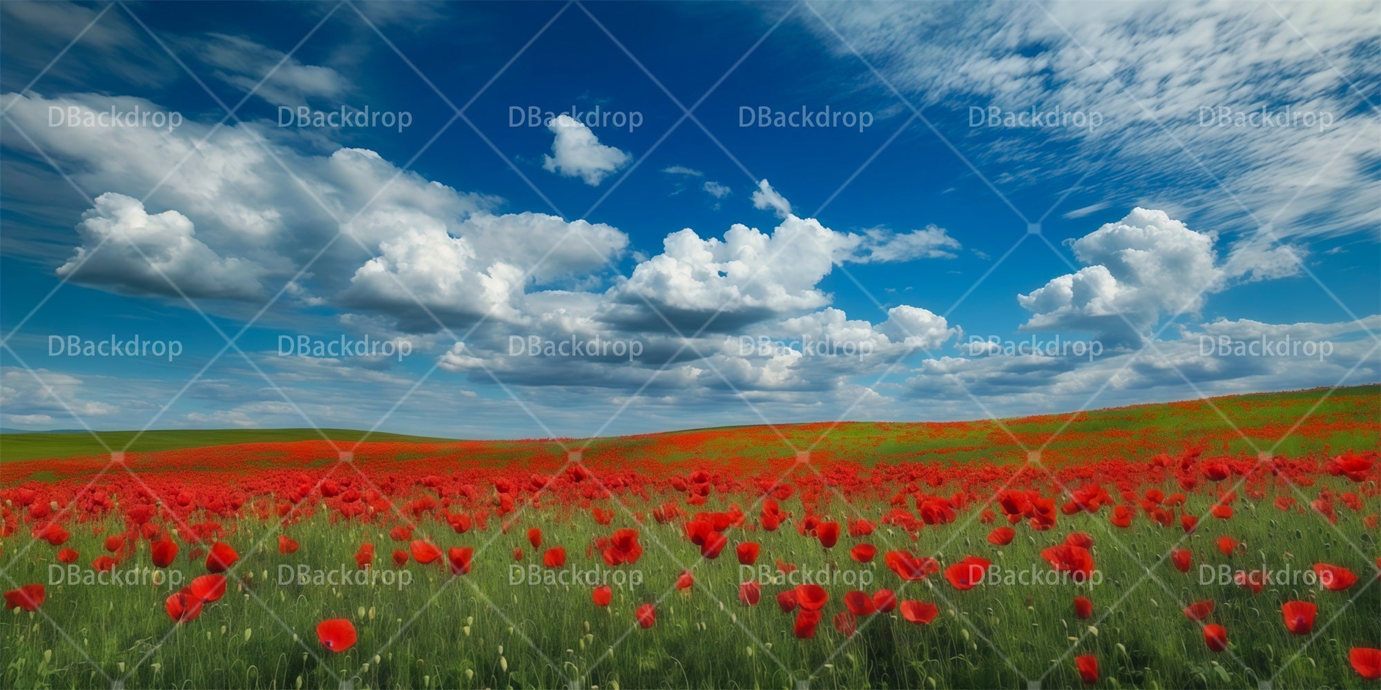 Scenery Backdrops For Theater Poppy Field Theater Backdrop RR65-T100
