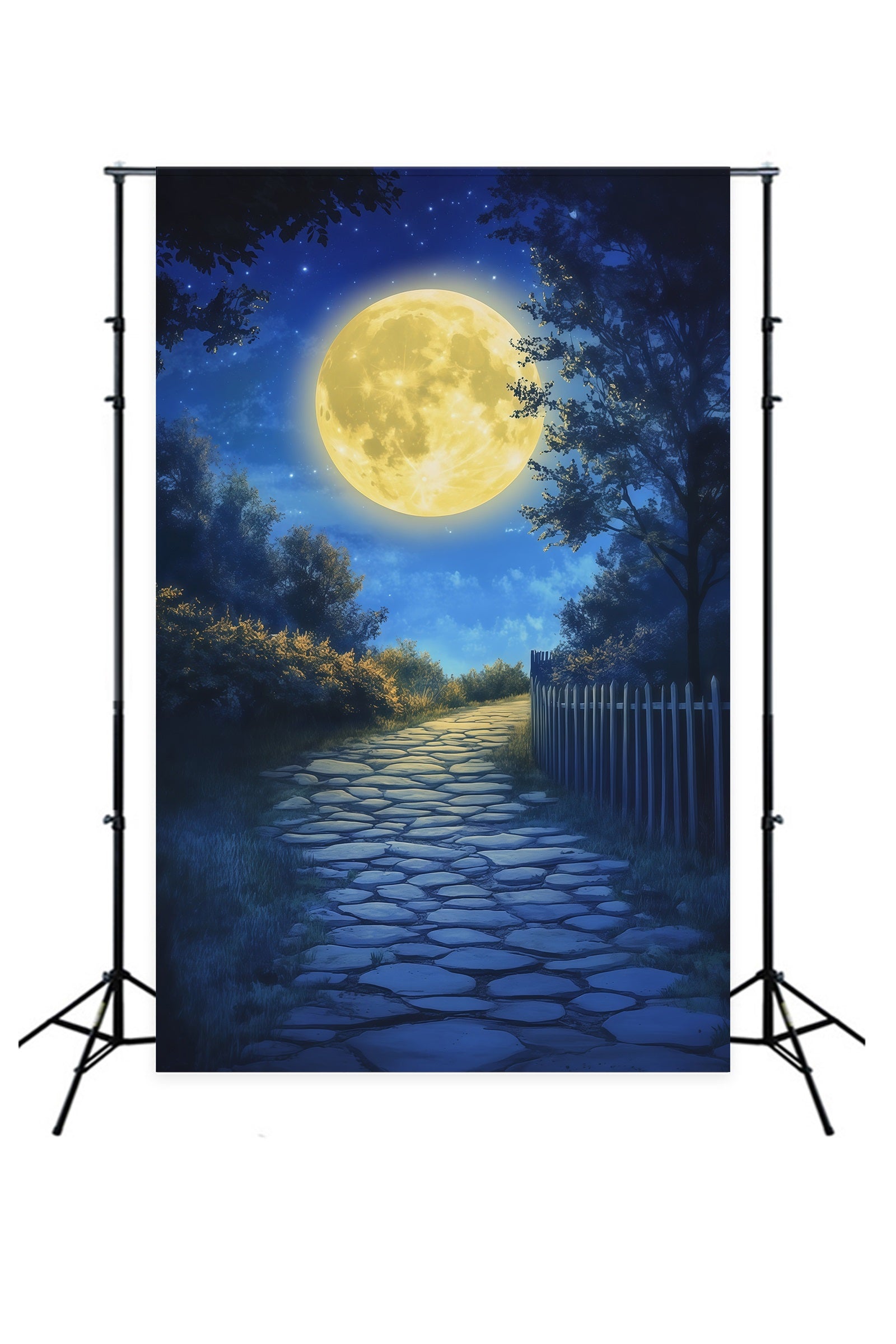 Halloween Moon Backdrop Moonlit Forest Cobblestone Path Halloween Photo Backdrops RR67-157