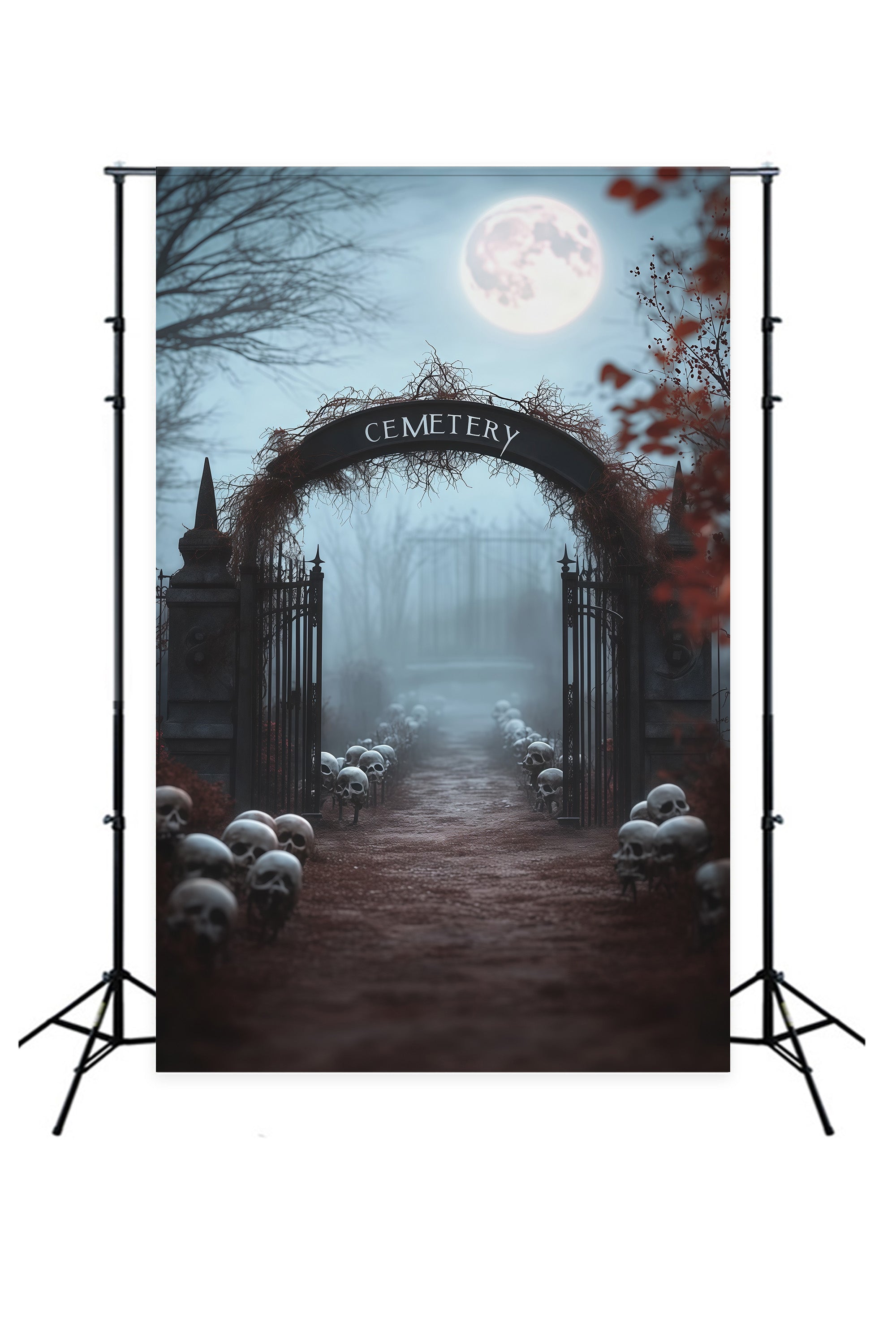 Halloween Outdoor Backdrop Foggy Skull Cemetery Entrance Halloween Backdrops For Photos RR67-160
