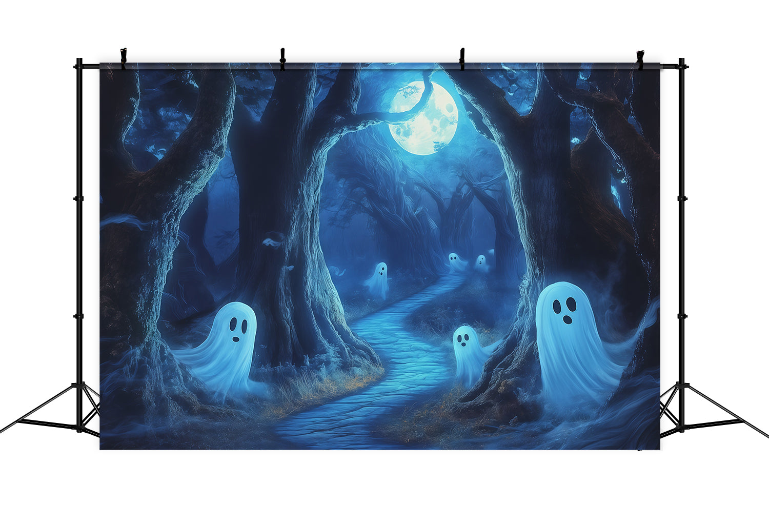 Ghost Backdrop Tapestry Moonlit Forest Path Extra Large Halloween Backdrop RR67-162