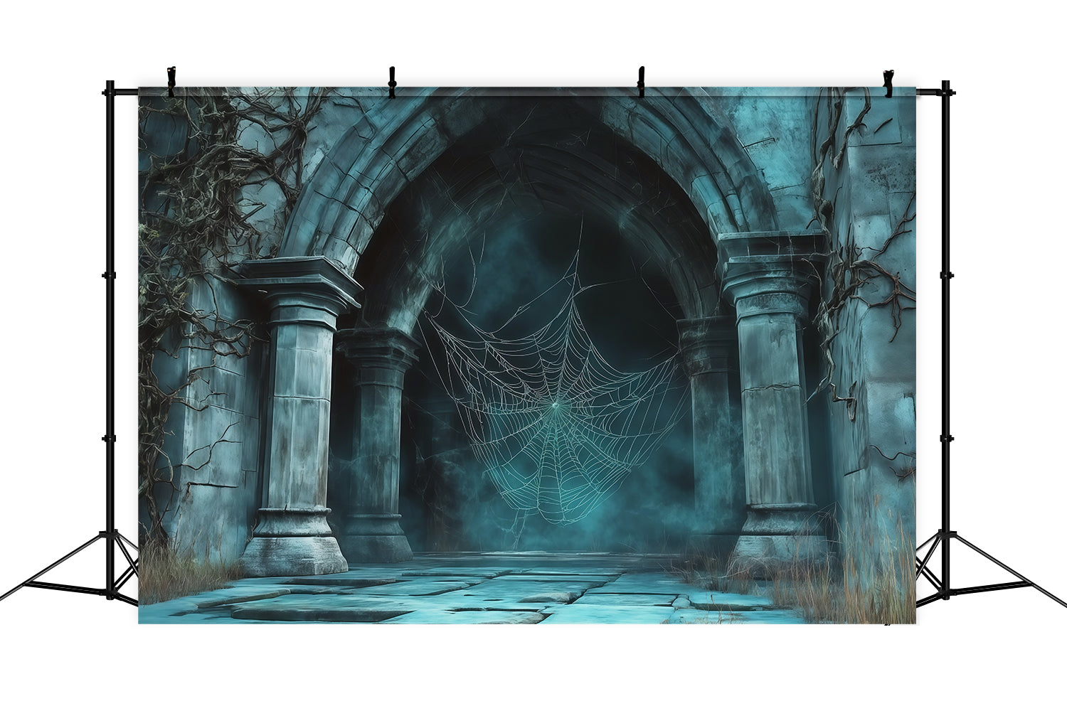 Spiderweb Backdrop Foggy Gothic Stone Archway Magical Backdrops RR67-169