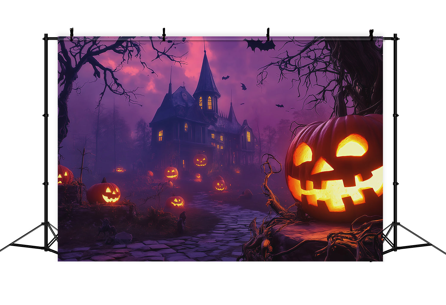 Pumpkins Backdrop Purple Sky Haunted Manor Halloween Backdrop Photo RR67-176