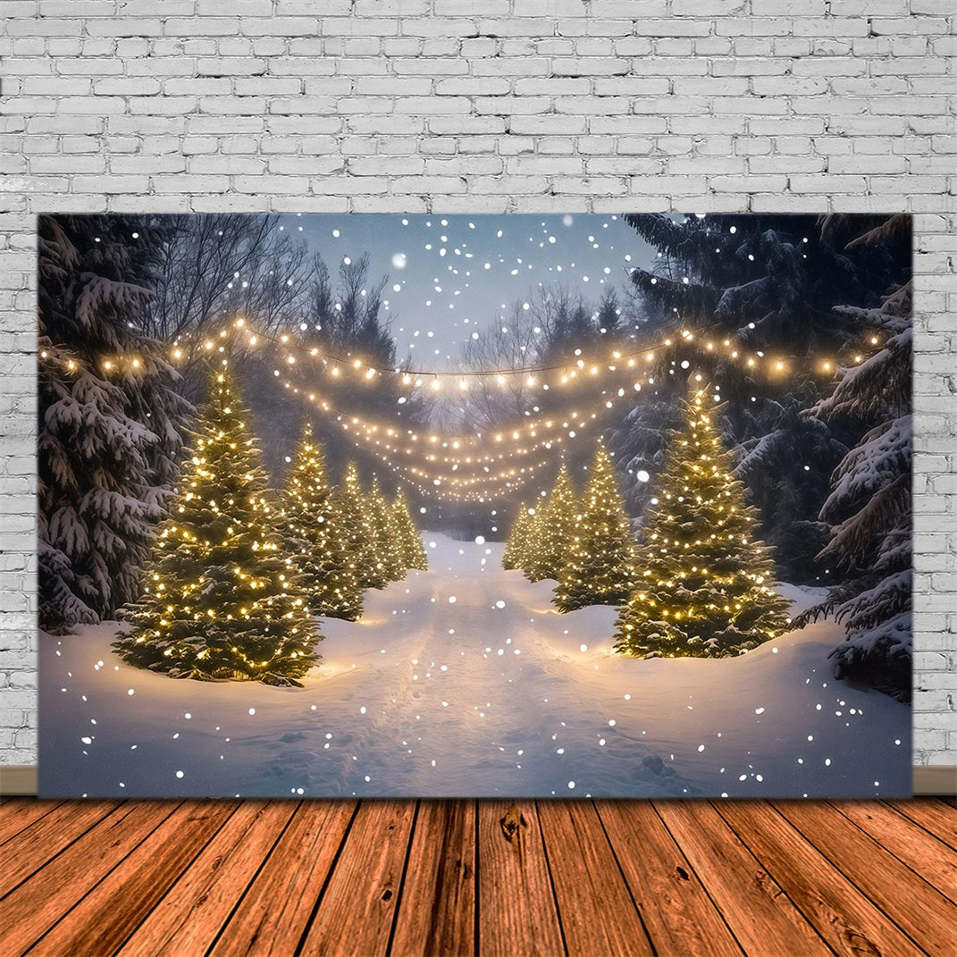 Christmas Wonderland Backdrop Snowy Forest Light Path Indoor Christmas Backdrops RR68-91