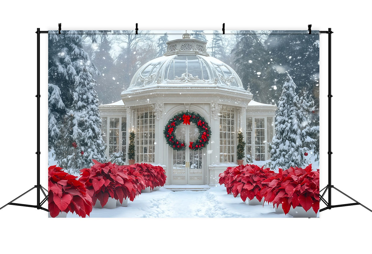Snowy Christmas Backdrop Conservatory Poinsettia Garden Photography Christmas Backdrop RR69-12