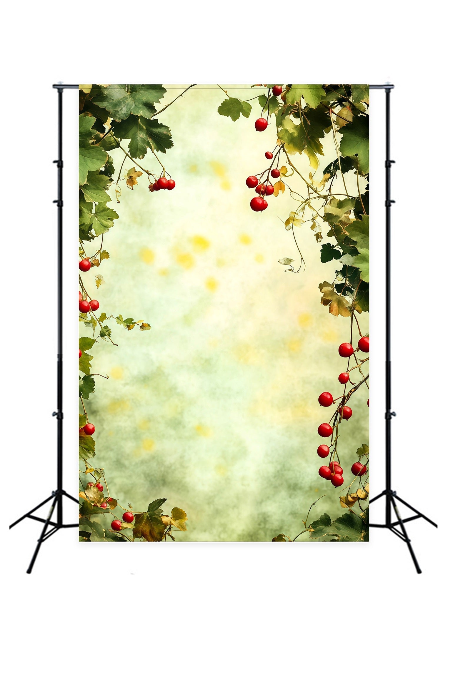 Christmas Greenery Backdrop Berry Green Leaves Frame Photo Christmas Backdrop RR69-20