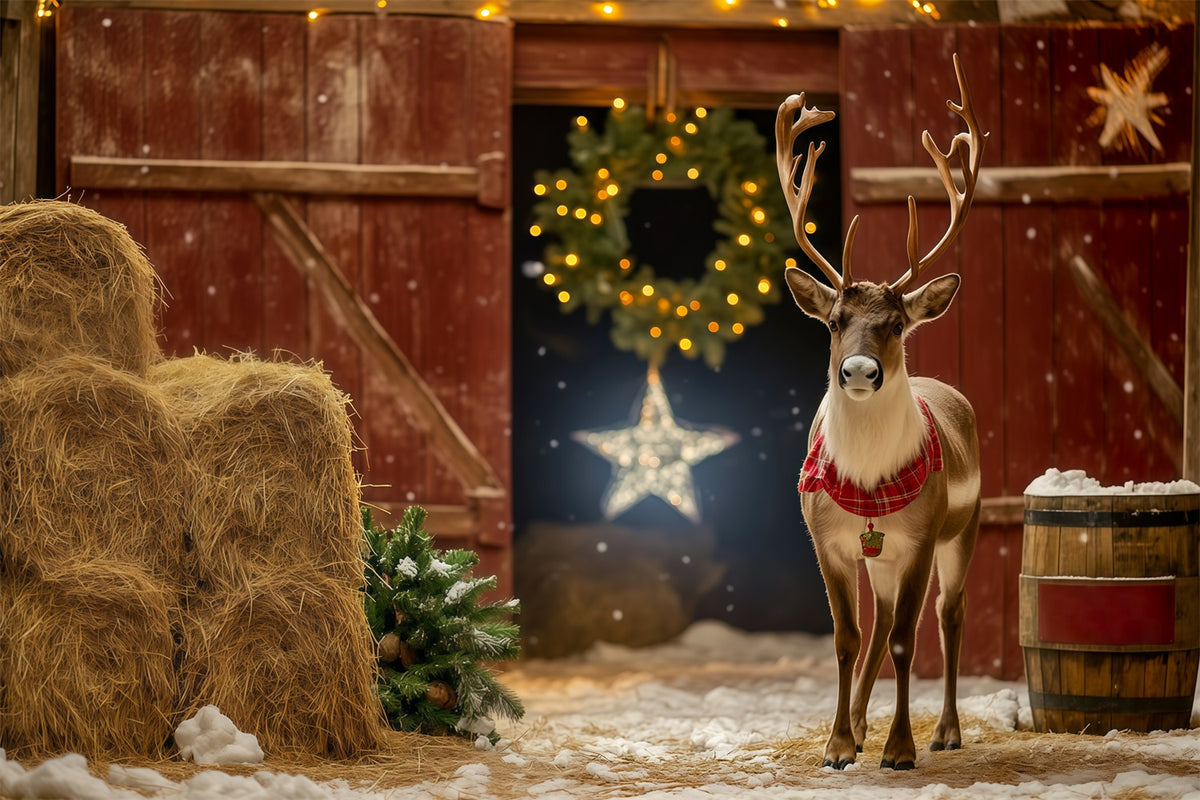 Christmas Barn Door Backdrop Rustic Reindeer Barn Entrance Backdrop Christmas RR69-39