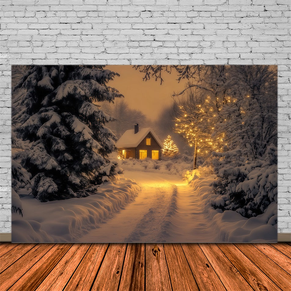 Winter Christmas Backdrop Snowy Forest Cabin Path Photo Backdrop Christmas RR69-43