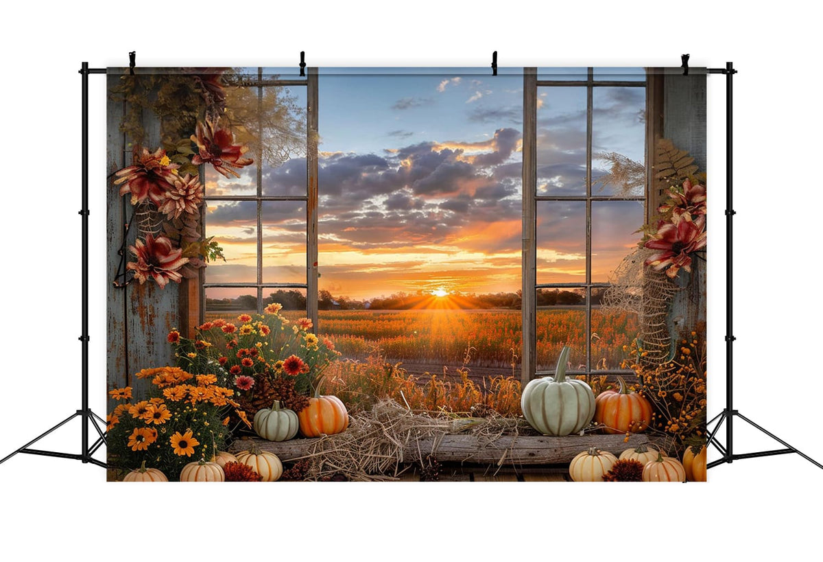 Counter Backdrop Fall Fall Pumpkins Sunset Window Scenery Backdrop RR7-151
