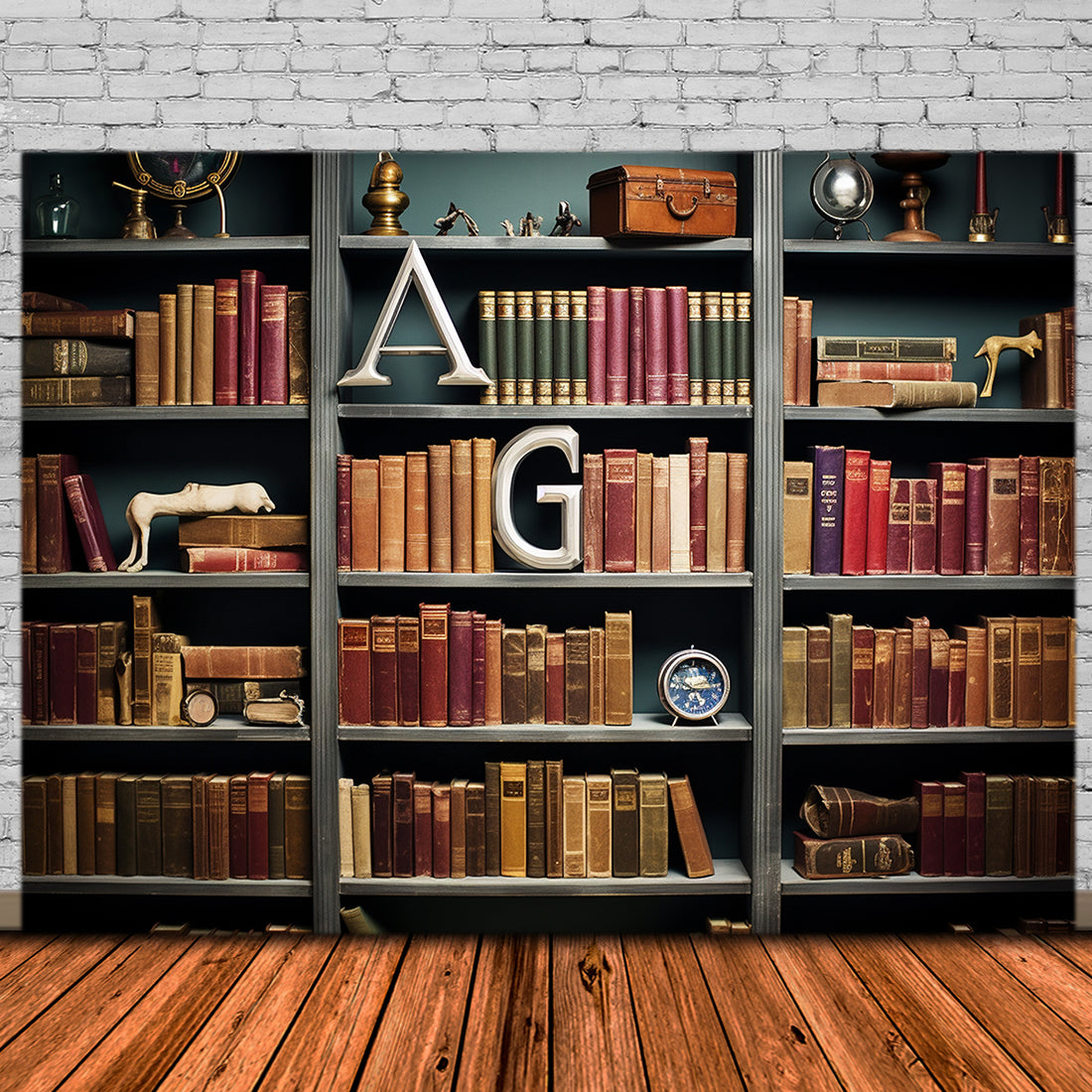 Back Drop Book Back to School Classic Shelf Books Backdrop RR7-194