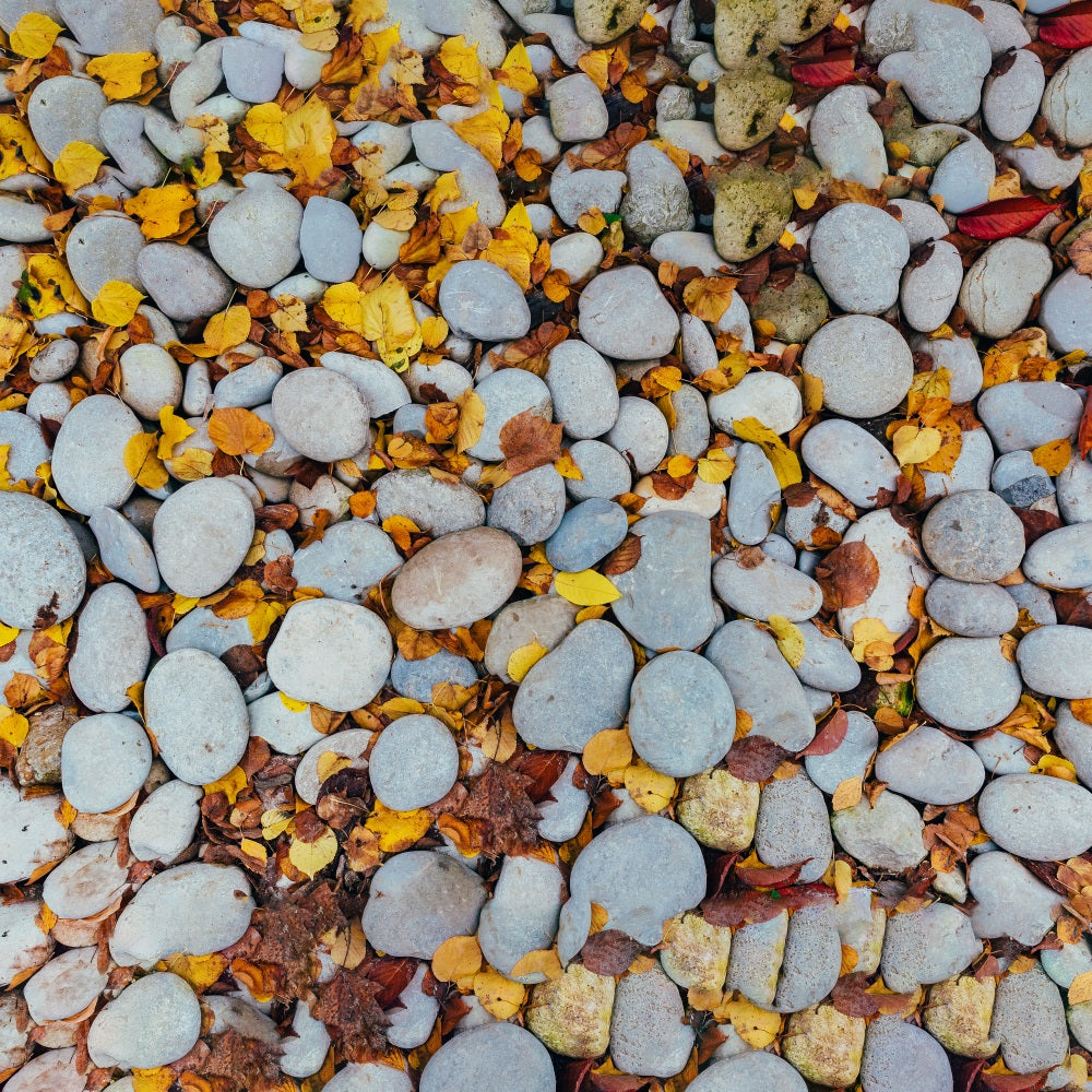 Leaves Staggered Pebble Floor Backdrop RR7-528 – Dbackdrop