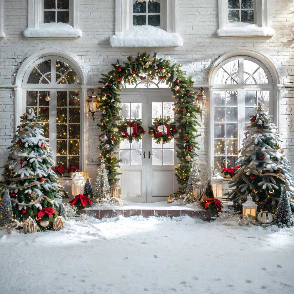 Christmas Elegant Arched Doorway Wreath Backdrop RR7-698