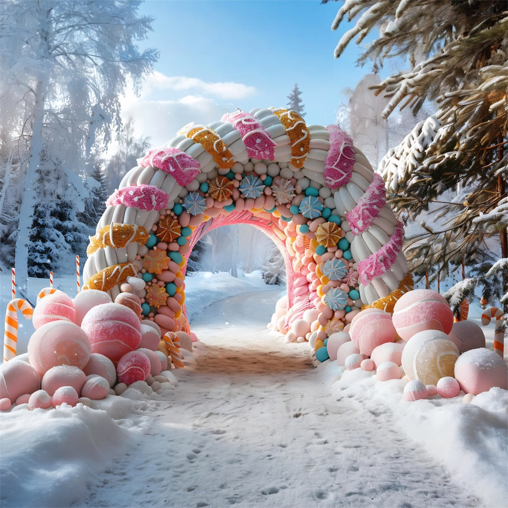 Christmas Rustic Arched Doorway Wreath Backdrop RR7-700
