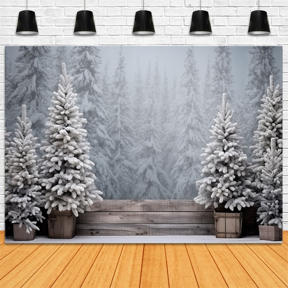 Trees Service Backdrop Christmas Snowy Forest Frosted Trees Backdrop RR8-247 – Dbackdrop