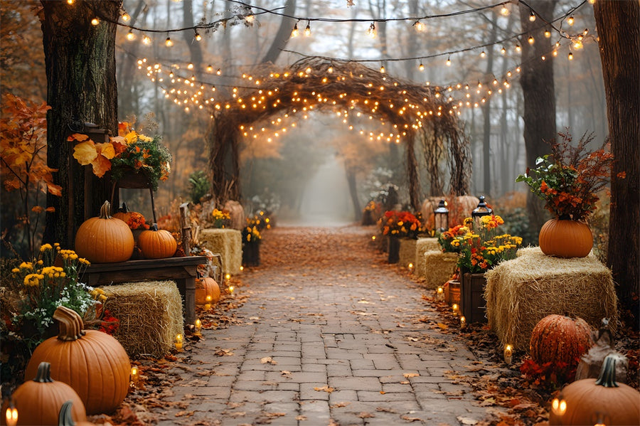 Pumpkins Haystack String Lights Fall Backdrop RR8-318
