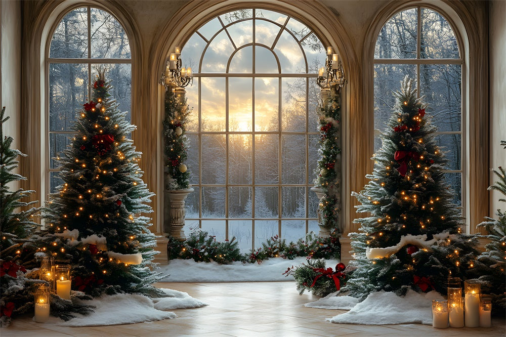 Christmas Trees Window Snowy Forest Backdrop RR8-90 – Dbackdrop