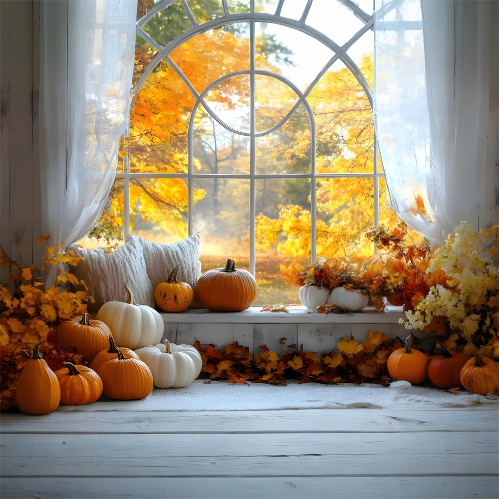 Fall Pumpkins Window Maple Trees View Backdrop RR9 4 Dbackdrop fall-pumpkins-window-maple-trees-view-backdrop-rr9-4-dbackdrop