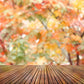 Autumn Yellow Maple Leaf Bokeh Photography Backdrops S-3073