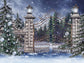 Winter Snow Door Christmas Backdrop for Photography ST-460