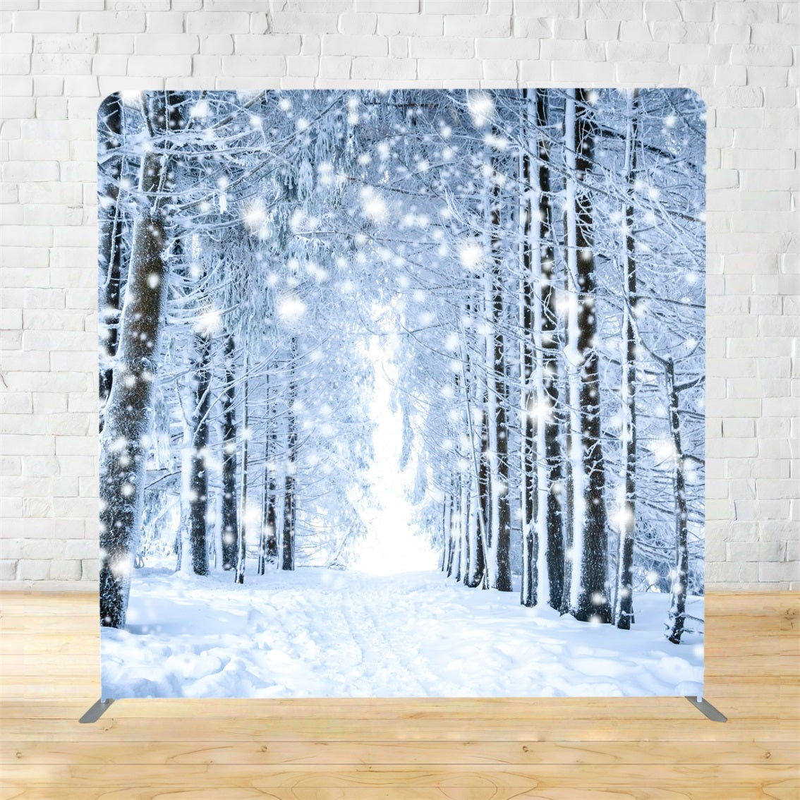 Square Backdrops Snowy Forest White Pathway Winter Backdrop TSGX-1070