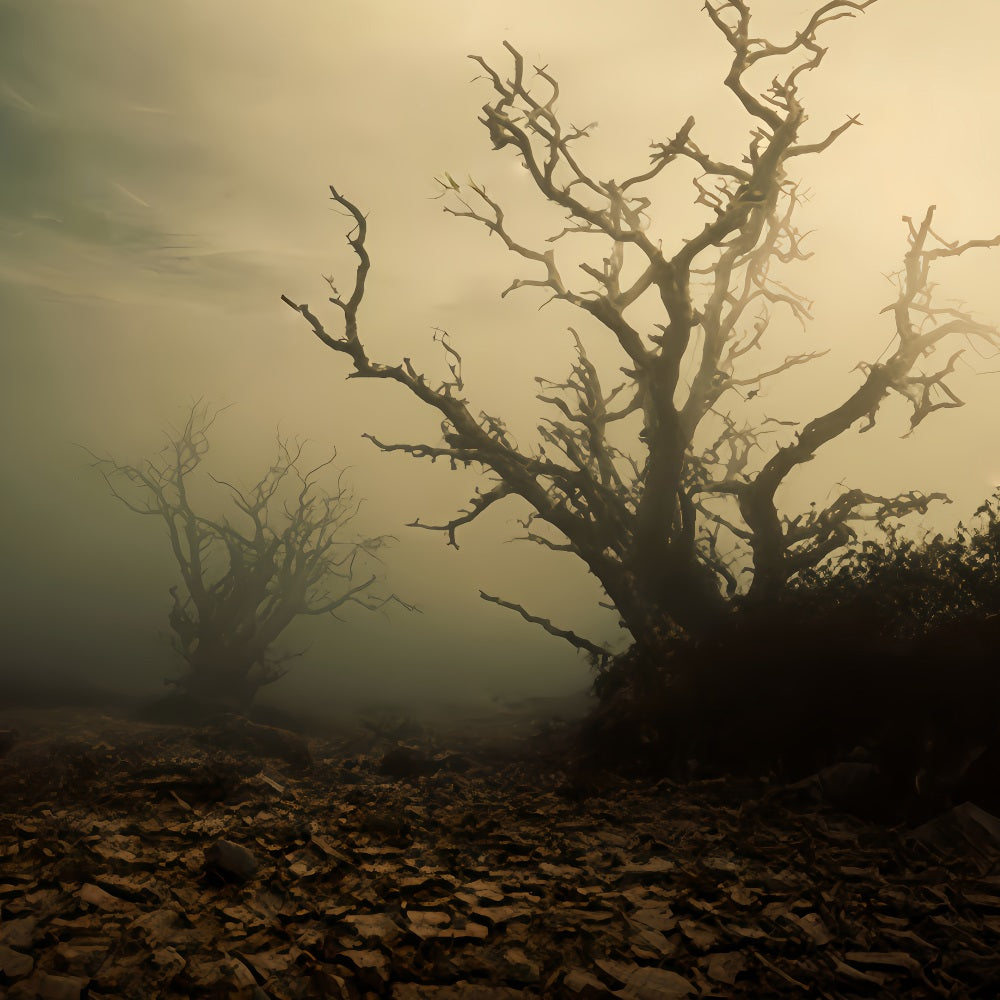 Haunted Forest Backdrop Foggy Dead Tree Field Halloween Backdrop TWW510-41