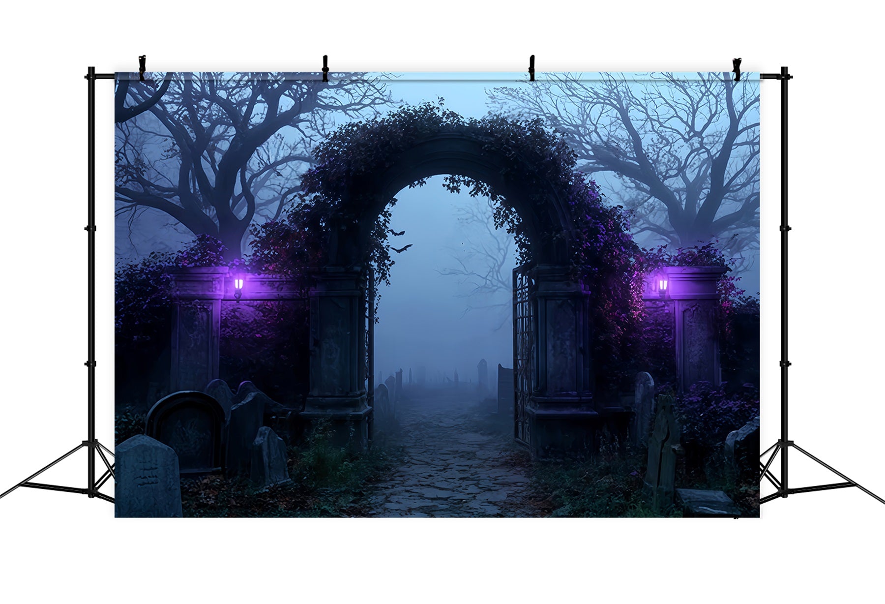 Halloween Backdrop Foggy Cemetery Archway Entrance Halloween Photo Backdrops TWW510-7