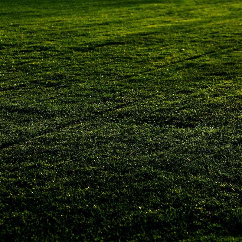 Floor Backdrops Sunset Meadow Grass Floor Backdrop TWW57-1