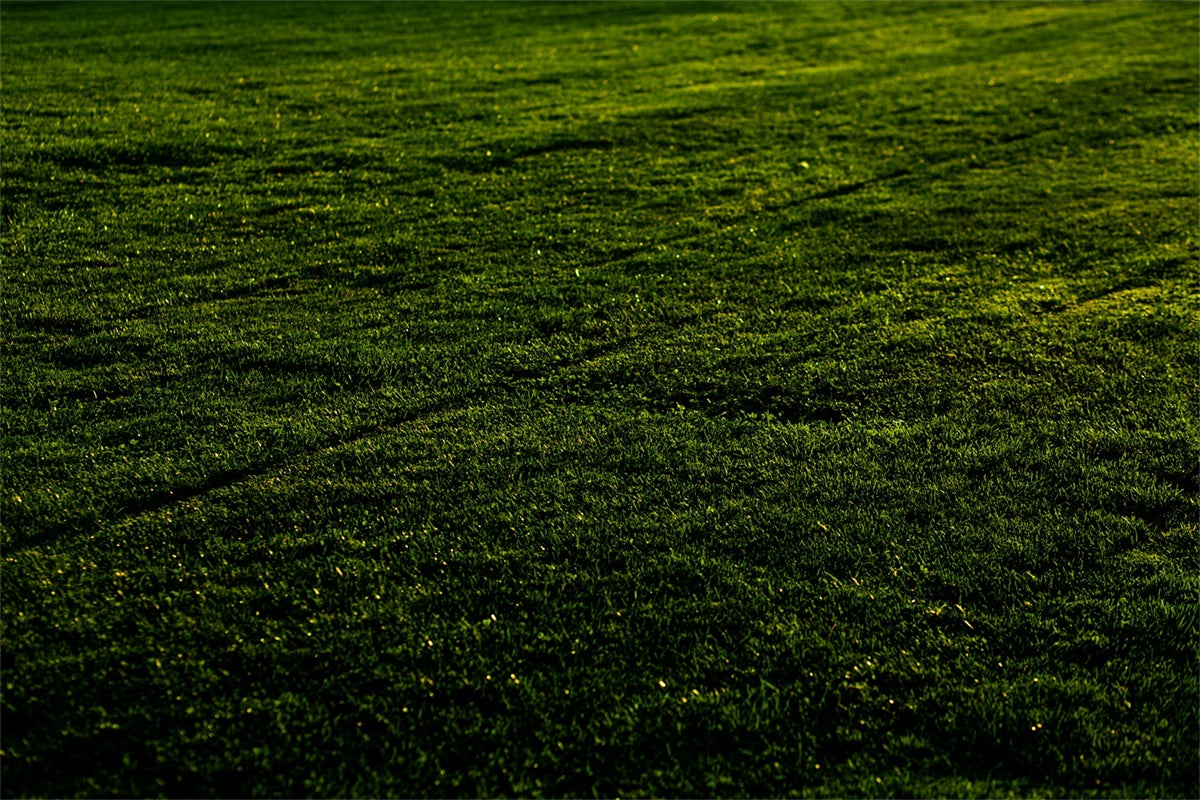 Floor Backdrops Sunset Meadow Grass Floor Backdrop TWW57-1