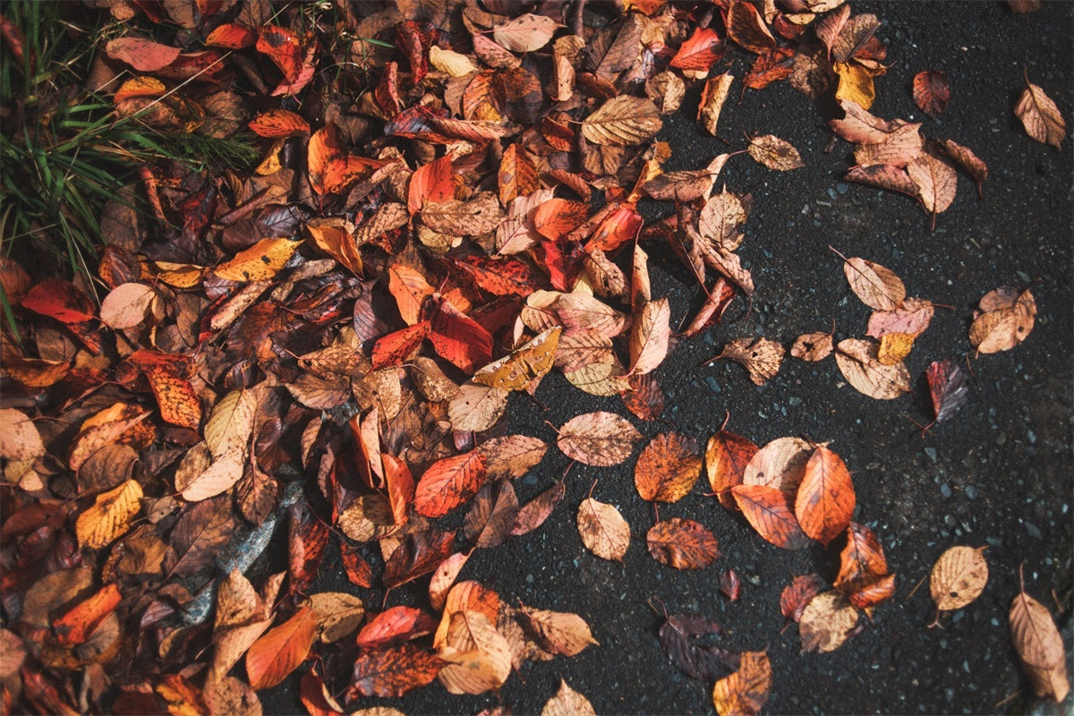 Photography Floor Backdrops Rustic Leaf Floor Backdrop TWW57-13