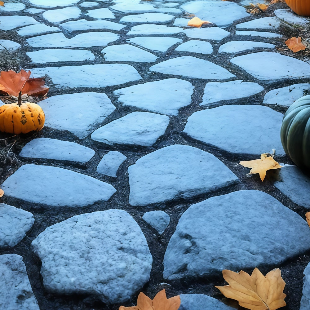 Backdrop Floor Twilight Pumpkin Path Floor Backdrop TWW57-14