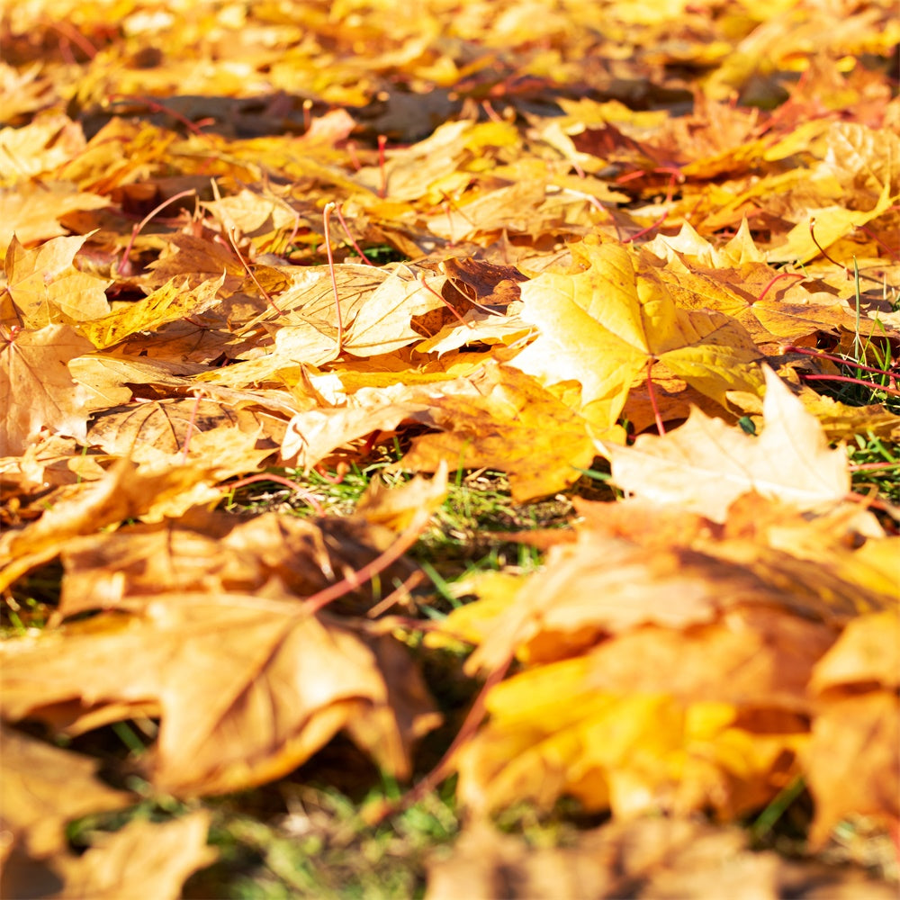 Photography Floor Backdrop Bright Leaves Floor Backdrop TWW57-18