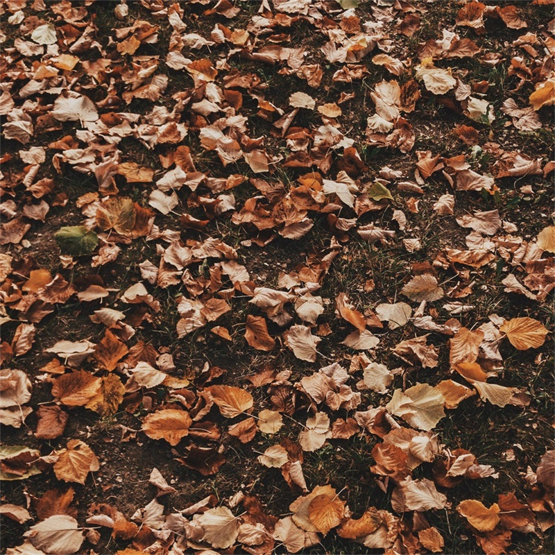 Backdrops And Floors Woodland Dry Leaf Floor Backdrop TWW57-19